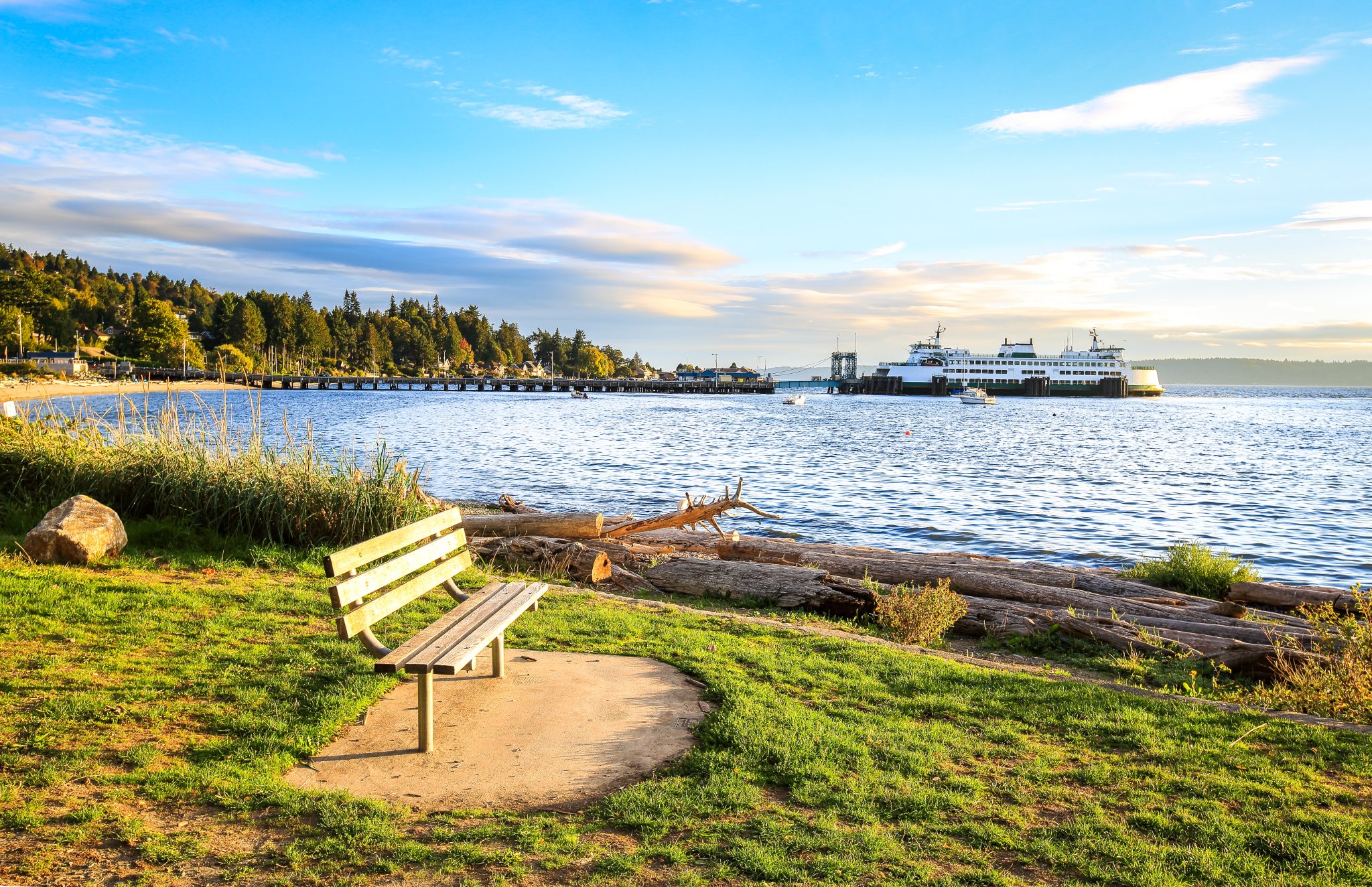 Lincoln Park Shoreline In Seattle Washington